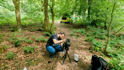 Live Show in the wild featuring a swarm of mosquitoes!